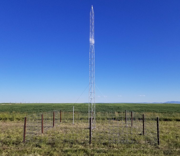 Lightning tower in a grassy field.